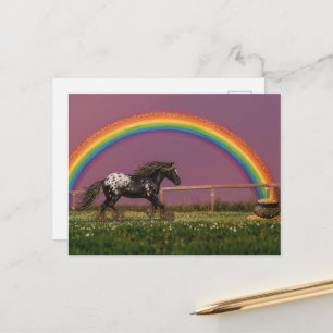 Beautiful Appaloosa at the Rainbow Postcard