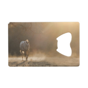 Beautiful Appaloosa in Golden Sunlight Bottle Open
