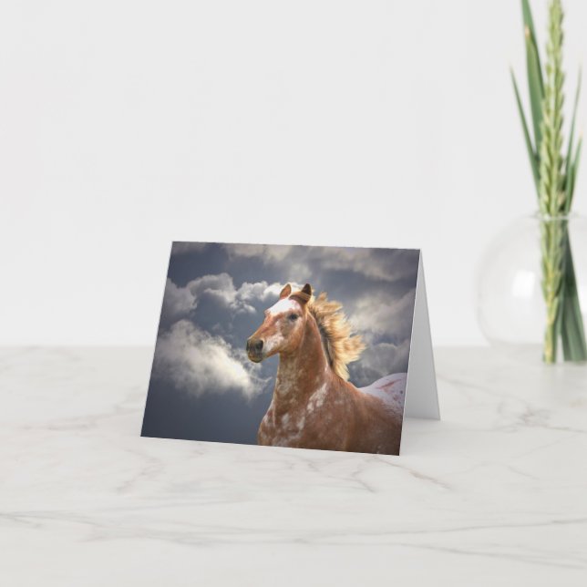 Beautiful Appaloosa Note Card (Front)