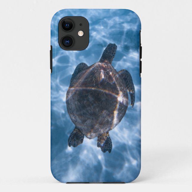 Beautiful Aquatic Turtle | Best gift for sea life Case-Mate iPhone Case (Back)