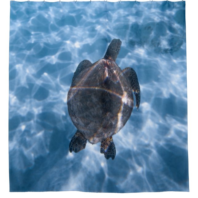 Beautiful Aquatic Turtle | Best gift for sea life Shower Curtain (Front)