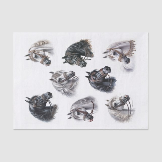 Beautiful Arabian Horses with Fancy Bridles Tissue Paper (Front)