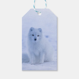 Beautiful Arctic Fox Gift Tags