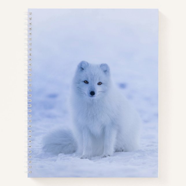 Beautiful Arctic Fox Notebook (Front)