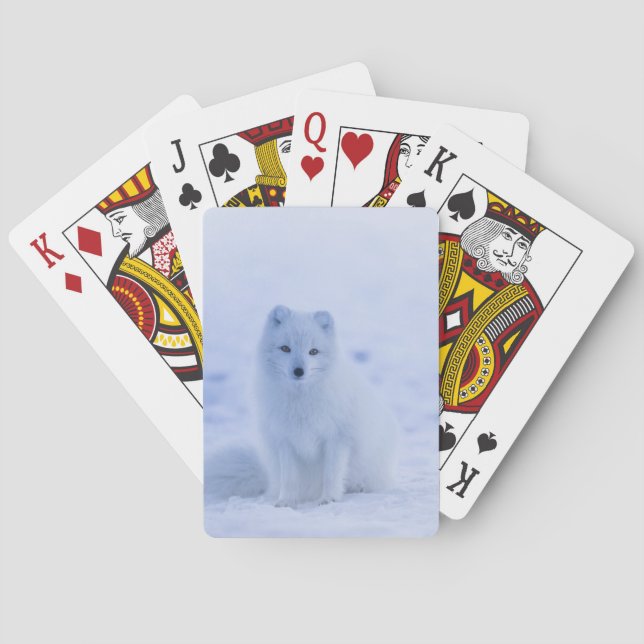 Beautiful Arctic Fox Playing Cards (Back)