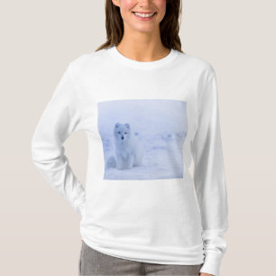 Beautiful Arctic Fox T-Shirt