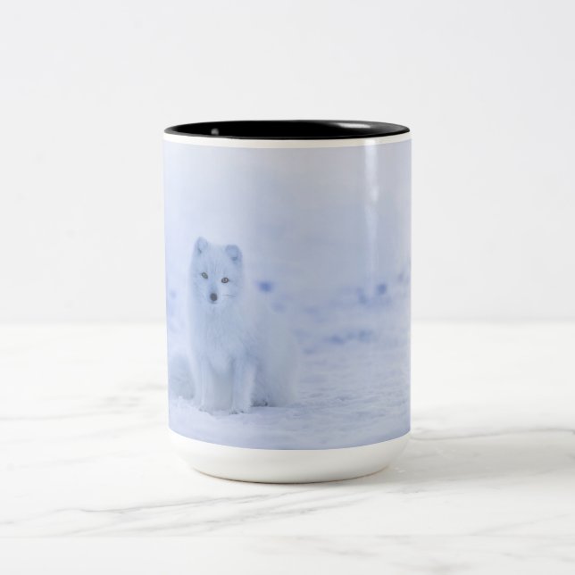 Beautiful Arctic Fox Two-Tone Coffee Mug (Center)