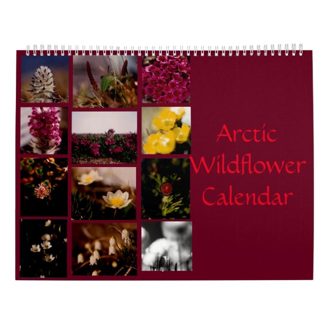 Beautiful Arctic Wildflowers Colour Wall Calendar (Back)
