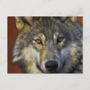 Beautiful artistic grey wolf portrait postcard