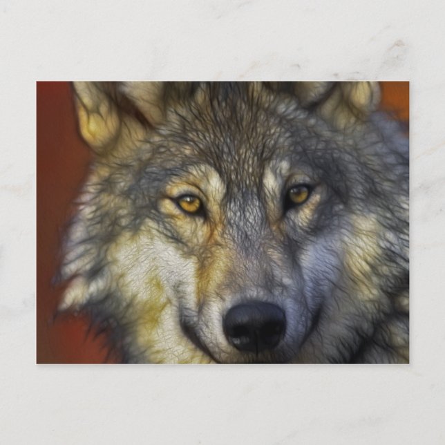 Beautiful artistic grey wolf portrait postcard (Front)