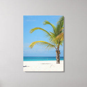 Beautiful Aruba Canvas Print