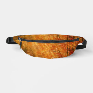 Beautiful autumn bum bags