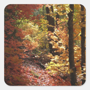 Beautiful Autumn Forest (1) Stickers