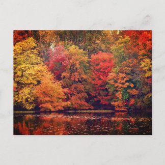 Beautiful Autumn forest and lake Postcard
