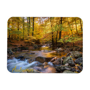 Beautiful Autumn Forest Magnet