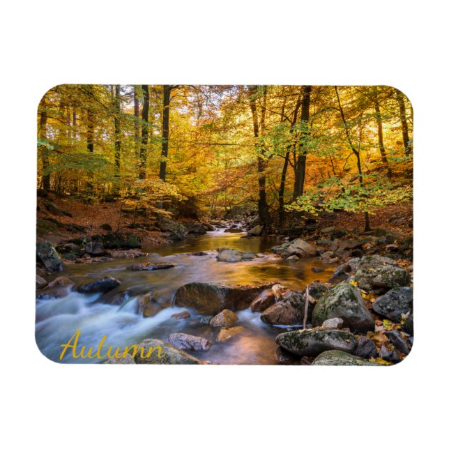 Beautiful Autumn Forest Magnet (Horizontal)