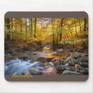 Beautiful Autumn Forest Mouse Pad