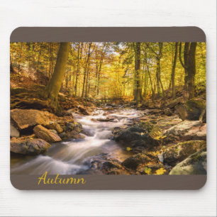 Beautiful Autumn Forest Mouse Pad