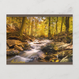 Beautiful Autumn Forest Postcard