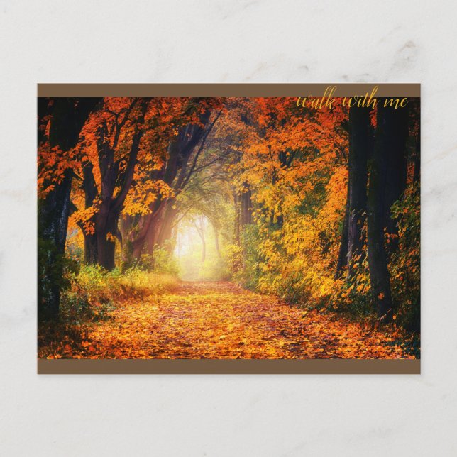 Beautiful Autumn Forest  Postcard (Front)