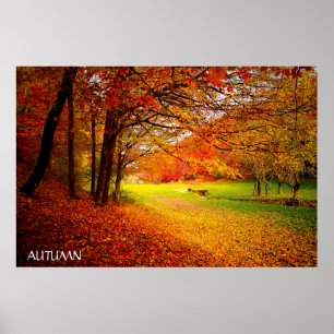 Beautiful Autumn Forest Poster
