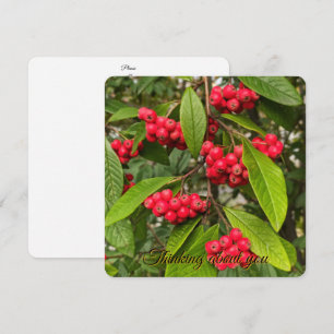 Beautiful autumn fruits hello card