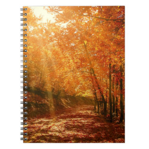 Beautiful autumn notebook