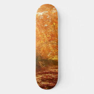 Beautiful autumn skateboard