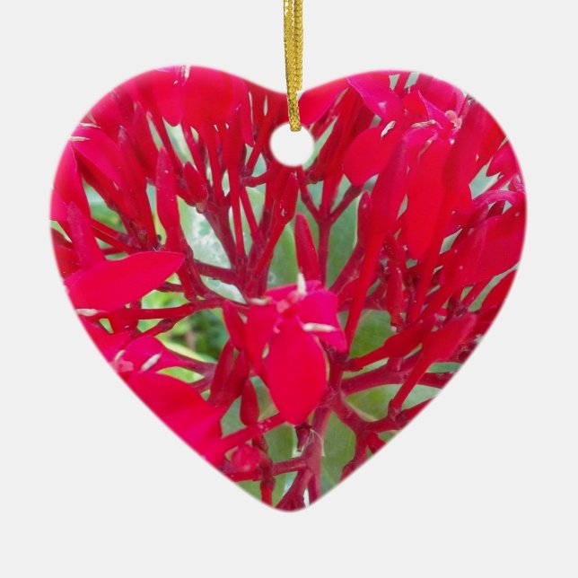 Beautiful Awesome Red flowers Ceramic Tree Decoration (Front)