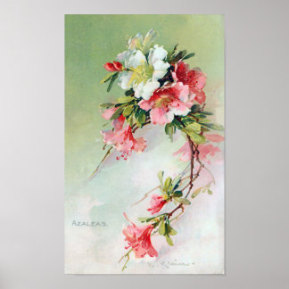 Beautiful Azaleas Vintage Art Poster