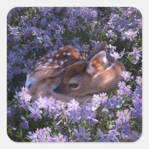 Beautiful Baby Deer Sticker Set