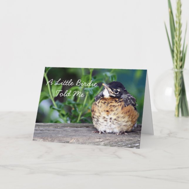 Beautiful Baby Robin Card (Front)
