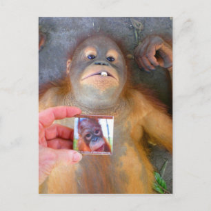 Beautiful Baby Zazzle Fan Postcard