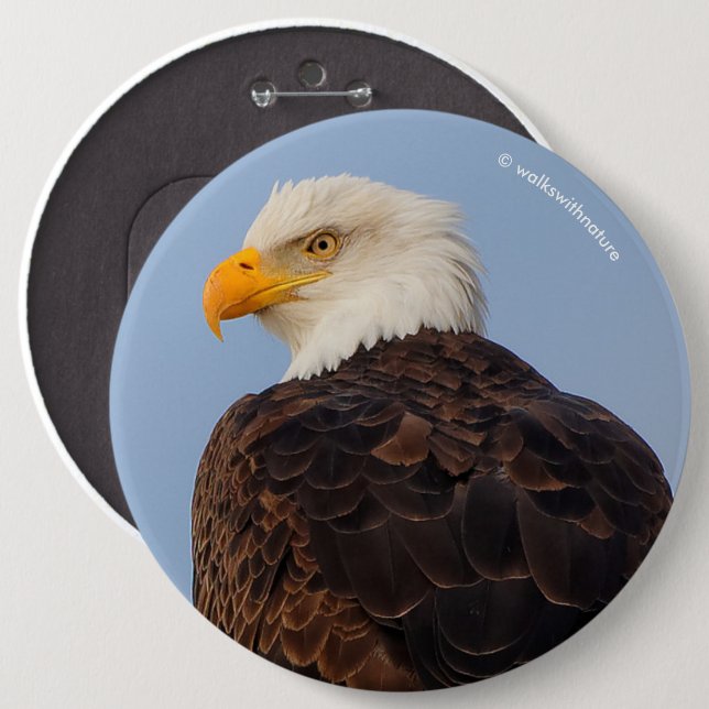 Beautiful Bald Eagle in a Tree 6 Cm Round Badge (Front & Back)