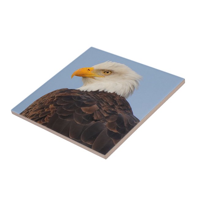 Beautiful Bald Eagle in a Tree Tile (Side)