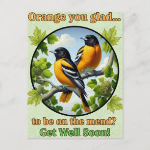 Beautiful Baltimore Orioles Get Well Postcard