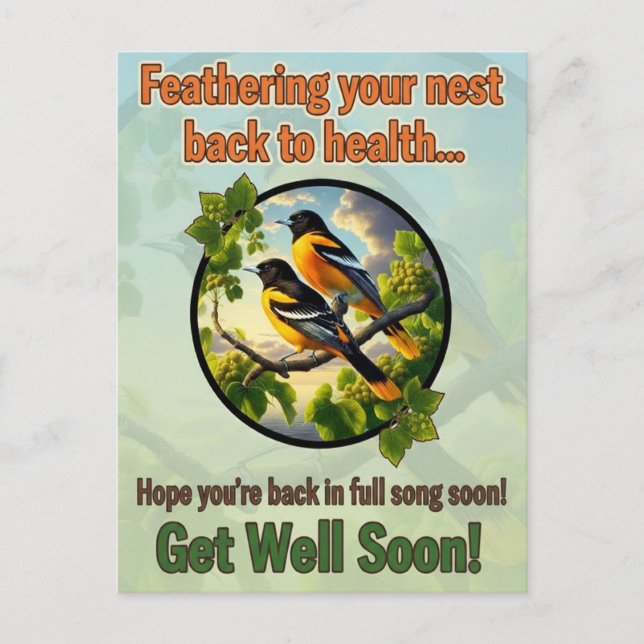 Beautiful Baltimore Orioles Get Well Postcard (Front)