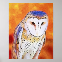 Beautiful Barn Owl Bird With White Face