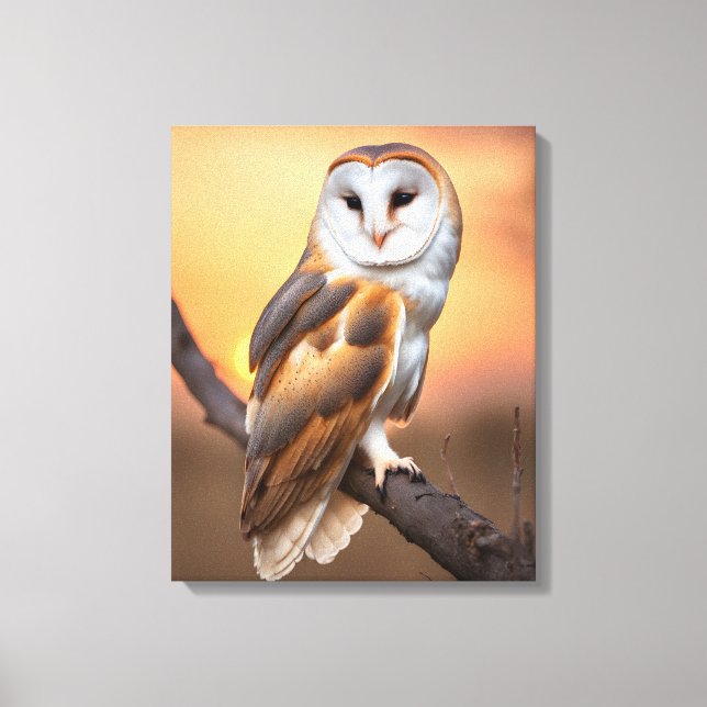 Beautiful Barn Owl Canvas Print (Front)