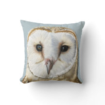 Beautiful Barn Owl