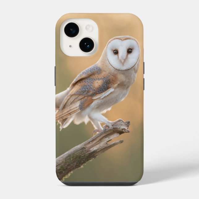 Beautiful Barn Owl iPhone Case (Back)