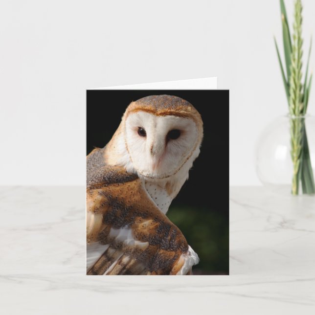 Beautiful Barn Owl notecard (Front)