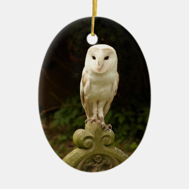 Beautiful Barn Owl Ornament (Front)