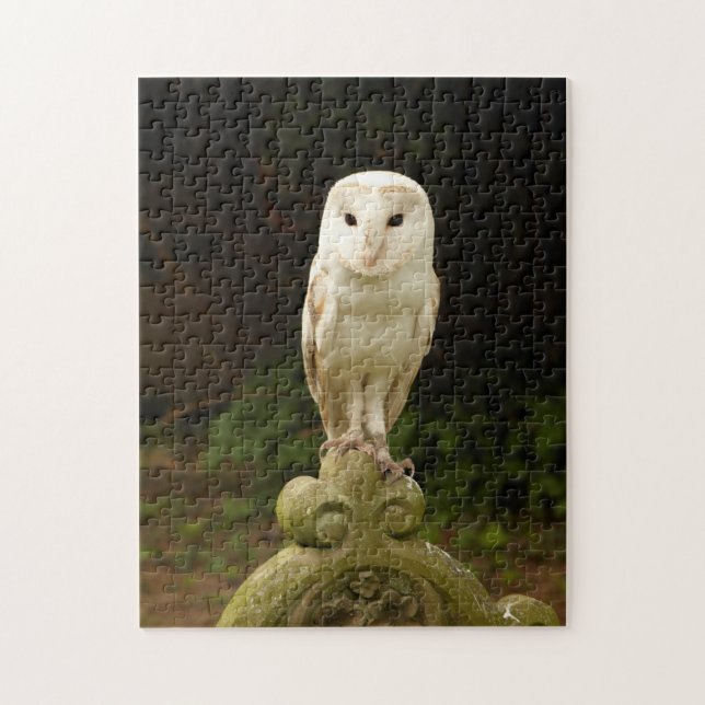 Beautiful Barn Owl Puzzle/Jigsaw Jigsaw Puzzle (Vertical)