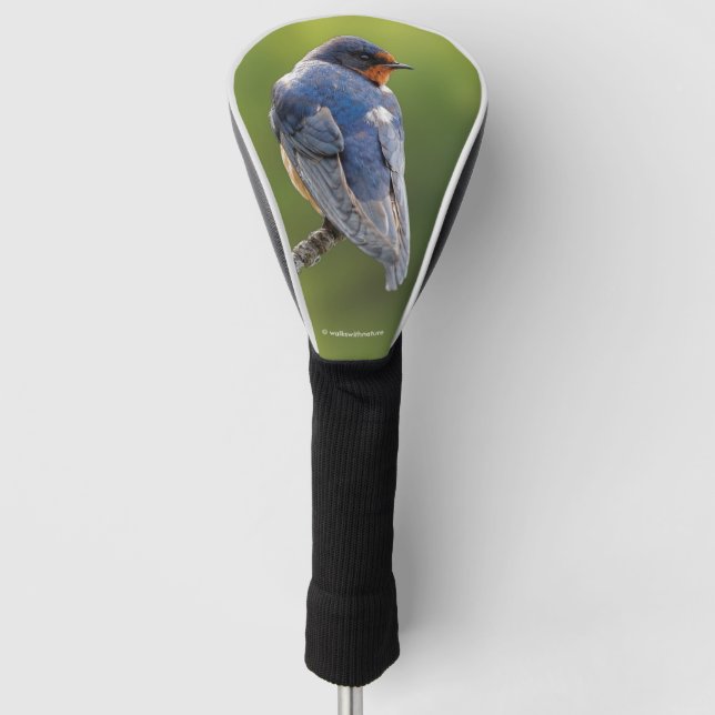 Beautiful Barn Swallow on a Branch Golf Head Cover (Front)