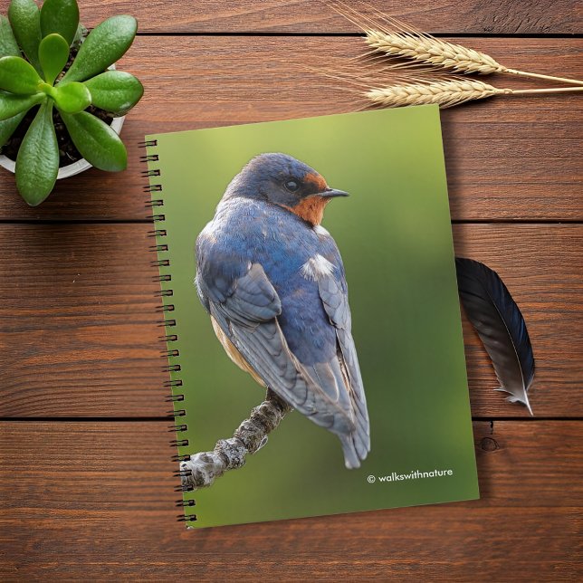 Beautiful Barn Swallow on a Branch Spiral Notebook (Beautiful Barn Swallow on a Branch Journal Cover Photo)
