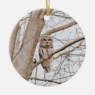 Beautiful Barred Owl Audubon Valentine’s  Ceramic Tree Decoration