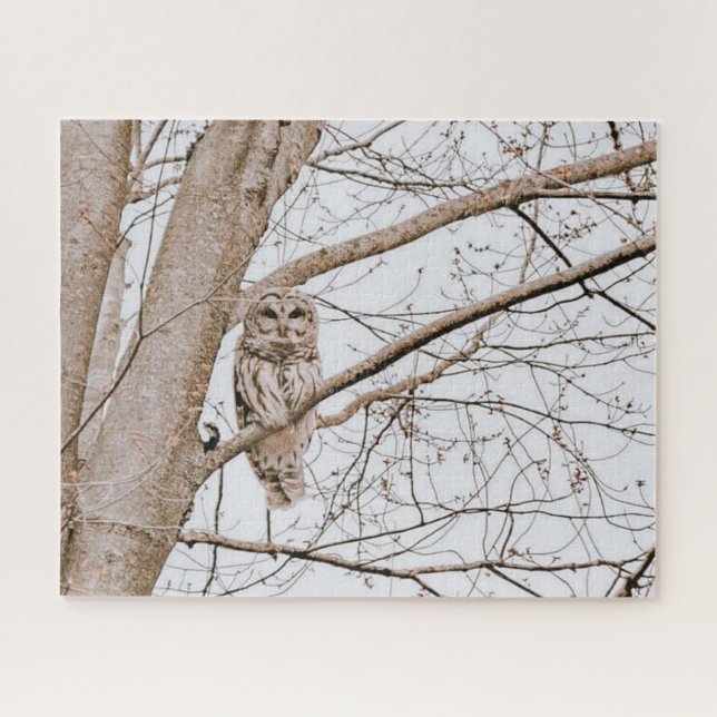 Beautiful Barred Owl Michigan Woods Audubon Jigsaw Puzzle (Horizontal)