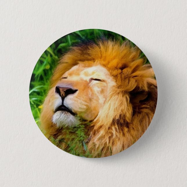 Beautiful Basking Male Lion African Wildlife 6 Cm Round Badge (Front)
