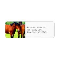 Beautiful Bay Draught Horses In Lush Green Meadow